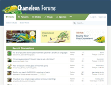 Tablet Screenshot of chameleonforums.com